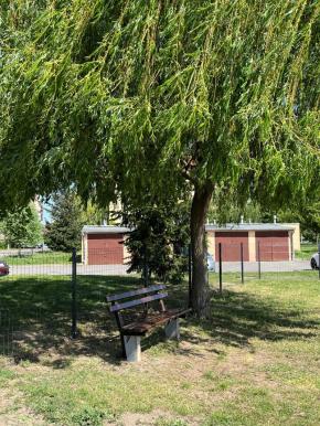 Wybieg dla psów